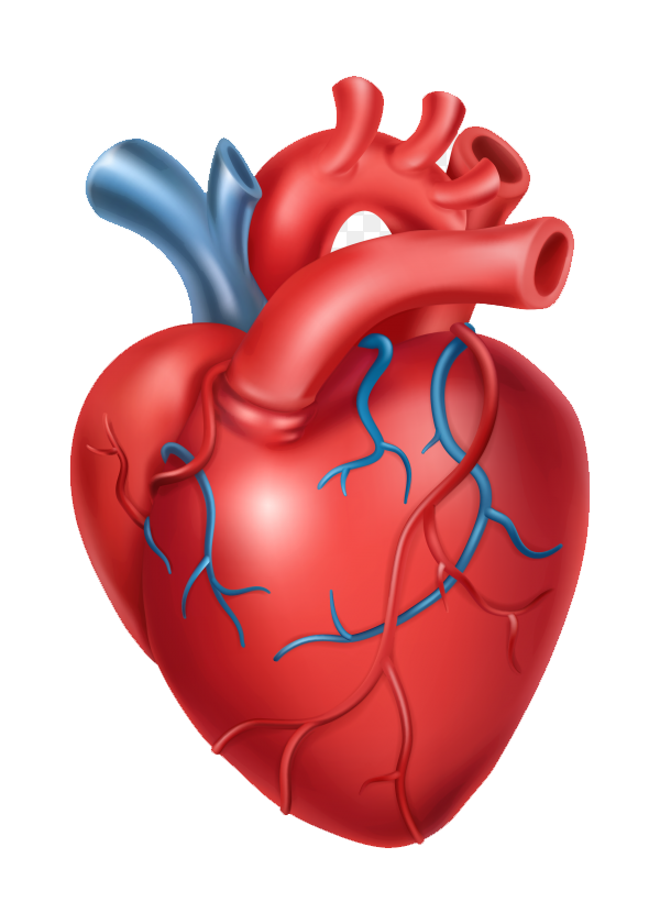 Heart Care